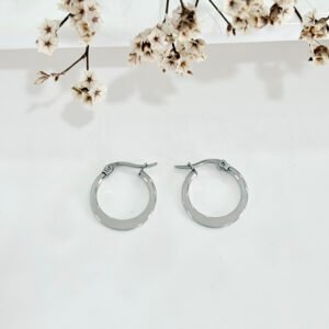 Aros de acero, argolla, chatos. 2 cm. de diámetro.