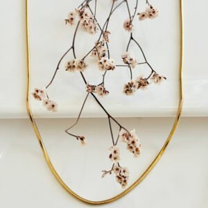Cadena de acero dorado, cola de ratón. 2.4mm x 50 cm.