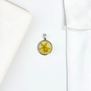 Dije estrella de mar, resina. Inflado.