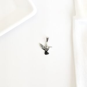 Dije colibrí de acero.