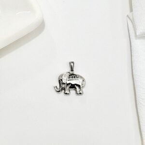 Dije de elefante en acero.