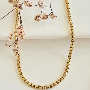 Cadena de acero dorado, frolo. 4.0mm x 50 cm.