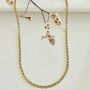 Cadena de acero dorado, rolo. 3.0mm x 55 cm.