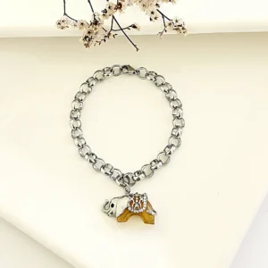 Pulsera acero con dije de elefante.