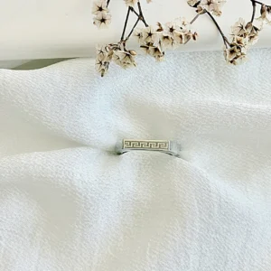 Anillo de acero macizo.